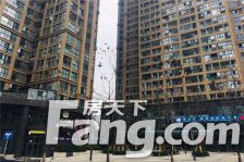 明信鹭湾A区 1室1厅 西北