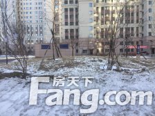 不顶不底 看房方便 采光好 可随意装修