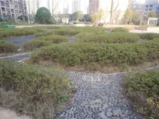 此房户型手续齐全,格局好,采光好,无遮挡,出行方便