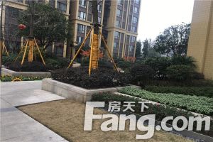 金科中心1室1厅西南