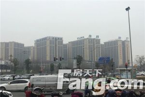 金科中心1室1厅东南