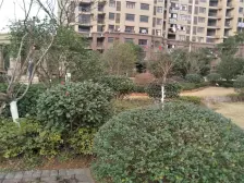 联排别墅,装修花了260万,适合有钱人