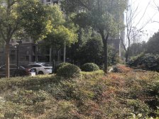 美罗家园罗贤苑 3室2厅 南