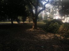 出门去育秀+现浇房+三开间朝南+出门广场+视野开阔