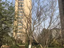 凯德莲公馆 3室2厅 南