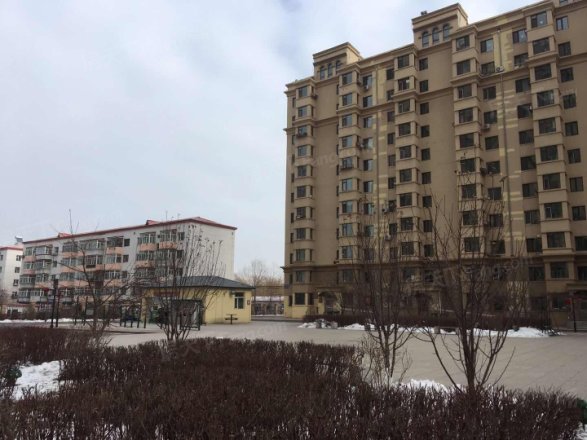 日出印象茗苑实景图