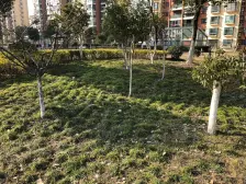 大零号湾、电梯一房,看房方便,地铁五号线,诚心出售