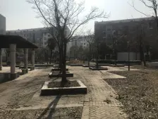 云汉路动迁房,视线好大一房,南北通户型。