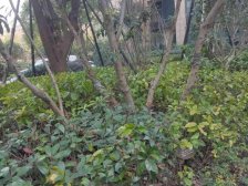 ???央位带50平专属露台,安静位置,带车位???