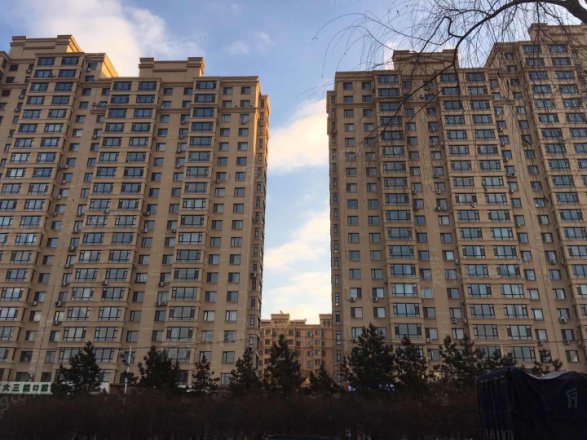 日出印象茗苑实景图