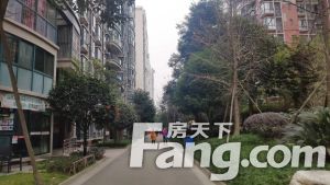 七彩花都B区二期 2室1厅 东南