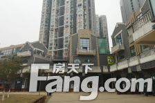 缤纷年华 3室2厅 东南