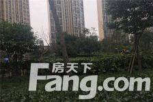 富临理宫 2室1厅 东南