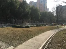 爱博一村 1室1厅 南 北