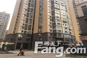 富临理宫 3室1厅 东南