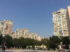 华漕·爱博家园二村·1室·1厅