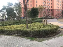 中间楼层,精装修,太阳光可以照到客厅