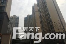 富临理宫 3室1厅 西南