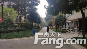 七彩花都B区二期 3室1厅 东南