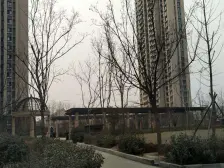 户型方正,楼层好,采光好,装修好,房东诚心卖。