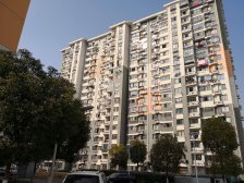 秀怡苑,电梯中层两房,南北通户型,11号地铁近200米