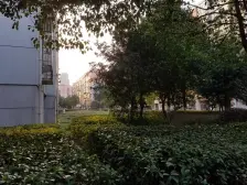 纯毛坯大面积+中间楼层+南枫线地铁+装修方便+无暗间