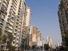 近地铁,近公园,秀怡苑,电梯两房,看房方便