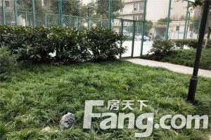 北新润苑二期 4室1厅 西北