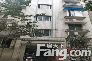 金鹏街176号院3室1厅东南