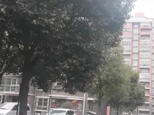 大开间,品质小区,诚意出售,小区中心位置