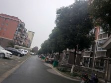 随时看房 刚需上车 无抵押 必看好房