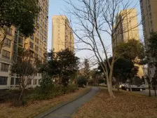 城市泊岸好房不等人电梯房适合居住