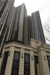 世龙广场 3室2厅 东南