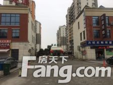 迎新年中介|费打对折新房已定好|急需置换|11号地鉄口50米