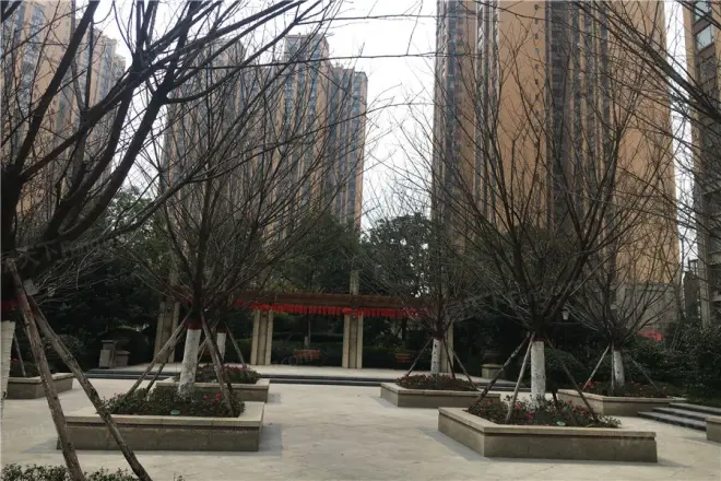 朗基天香实景图