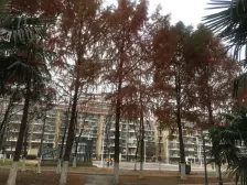 11号线地铁口大三房,小区稀有房型