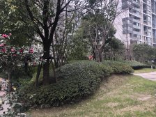 近地铁+满五年+楼距大+下沉式花园