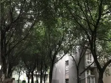 总价低 首付低 单价低 压力小 户型好