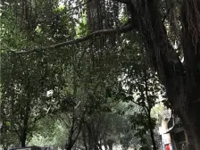 此房楼层好,朝南,住家安静,采光好总价低