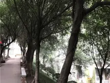 蔡家 江山假日三期二房41万