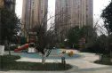 朗基天香实景图