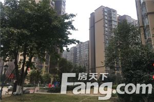 龙腾苑 1室1厅 南