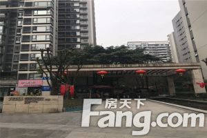 龙湖翠微清波B区 3室1厅 西北