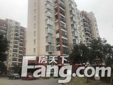 滨浦二村,位置好,南北通,全明大三房