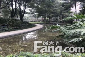 龙湖翠微清波B区 4室2厅 西南