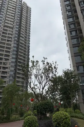 盛天小世界实景图