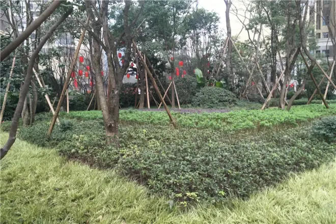 融景城朗峰实景图