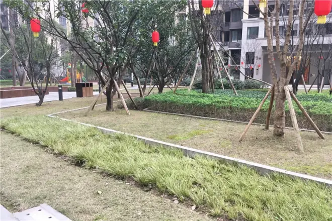 融景城朗峰实景图