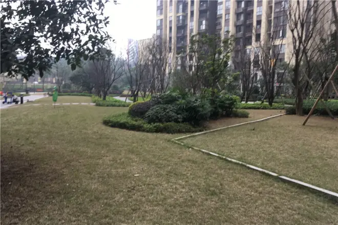 融景城朗峰实景图