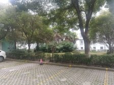 紫荆三村4室东朝向199.00万元/套出售